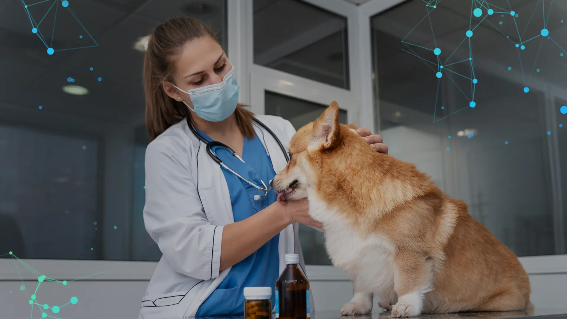 Veterinary Drug Registration
